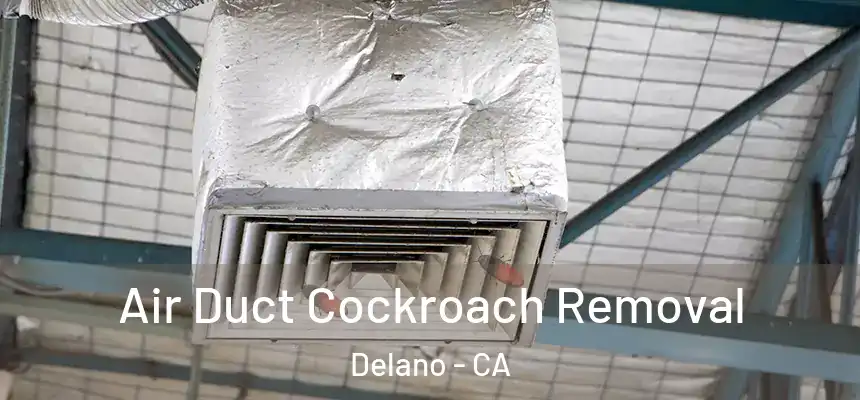  Air Duct Cockroach Removal Delano - CA