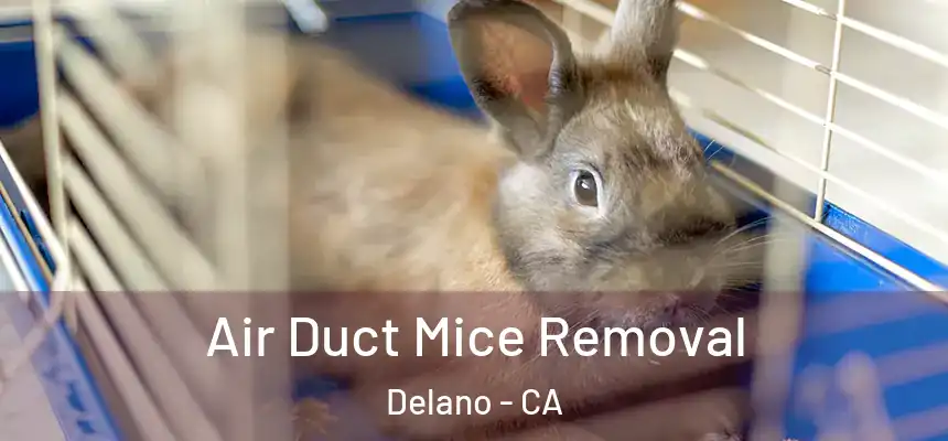 Air Duct Mice Removal Delano - CA