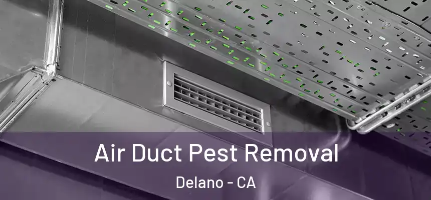 Air Duct Pest Removal Delano - CA