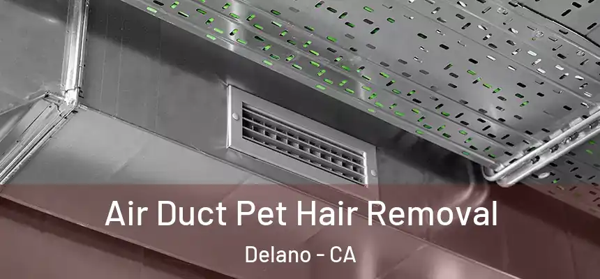  Air Duct Pet Hair Removal Delano - CA