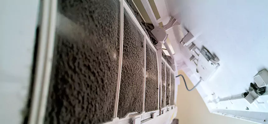 Preventive Air Duct Bacteria Removal in Delano