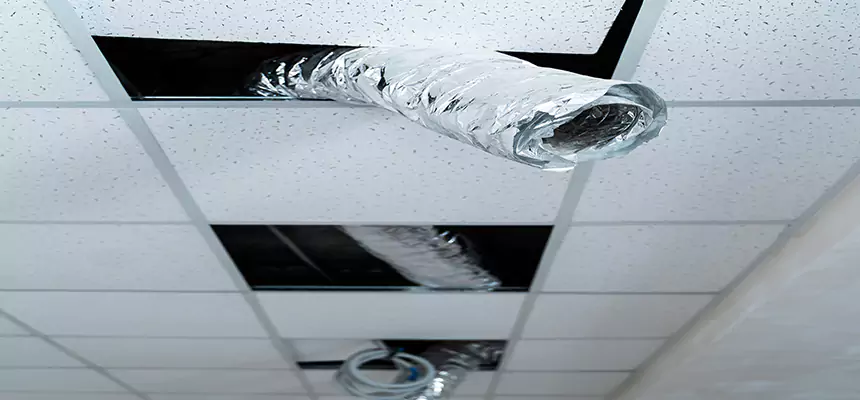 Our Air Duct Pet Hair Removal Services in Delano, CA