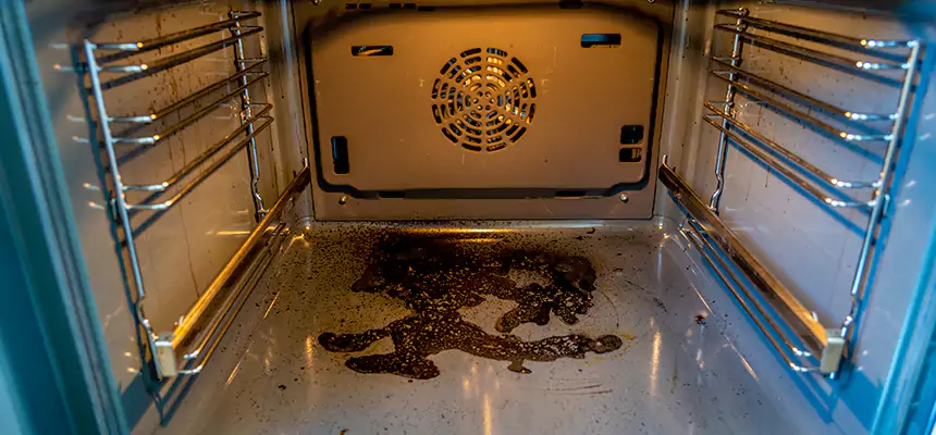 Our Dryer Vent Mold Cleaning Services in Delano, CA