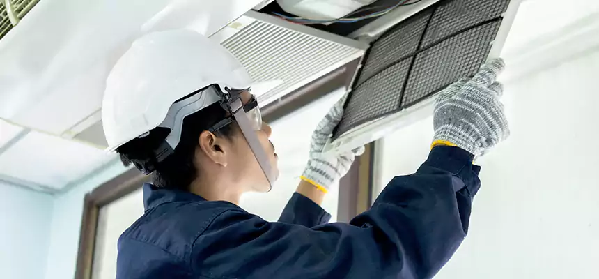 Our Mold & Mildew Removal from Air Ducts Services in Delano, CA