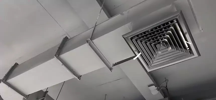 Our Pest Removal From Ducts Services in Delano, CA