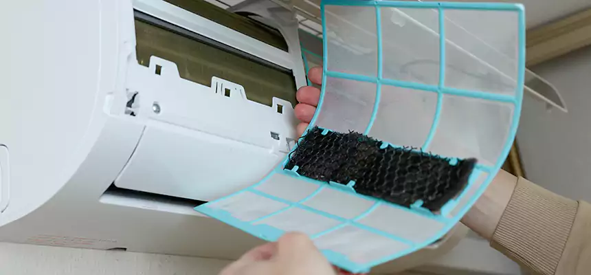 Gentle Ductwork Odor-Control Pet Dander Duct Cleaning in Delano, CA