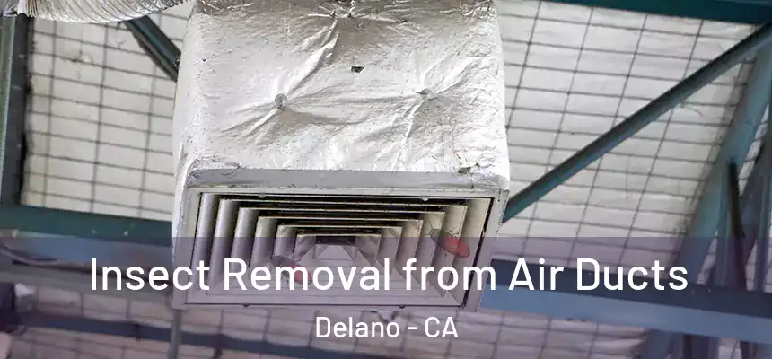  Insect Removal from Air Ducts Delano - CA