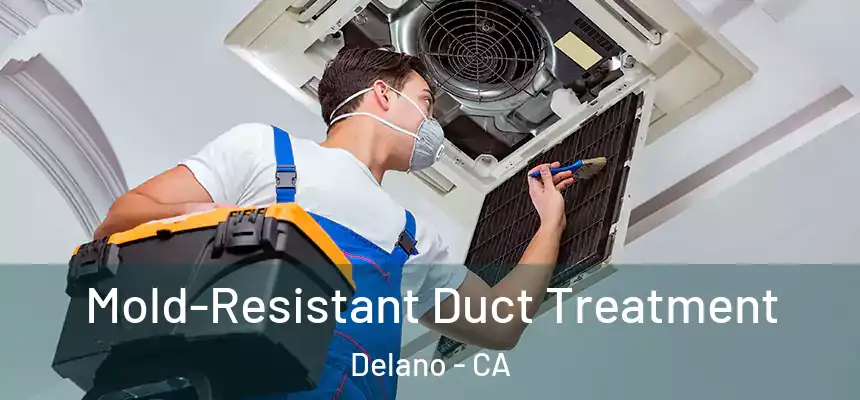 Mold-Resistant Duct Treatment Delano - CA