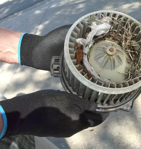 About Air Duct Mice Removal in Delano, CA