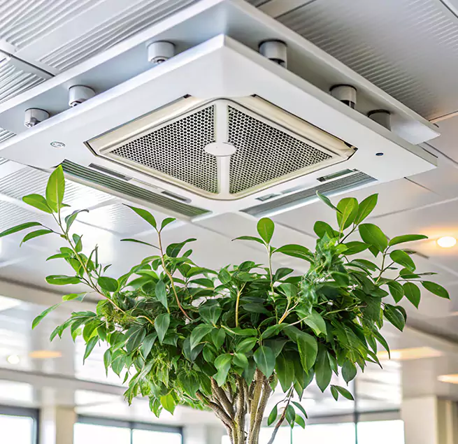 Why Homeowners & Businesses Trust Us in Delano, CA?