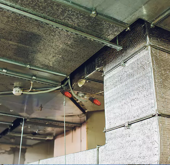 Why Homeowners & Businesses Trust Us Delano, CA?