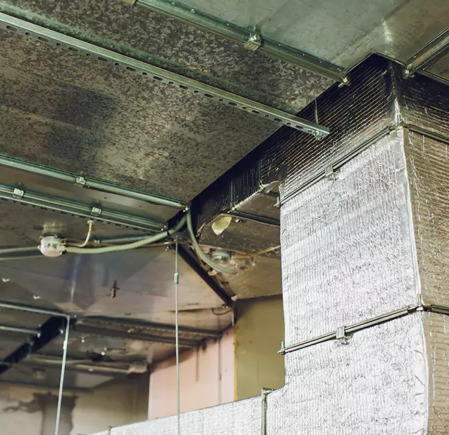 Why Homeowners & Businesses Trust Us in Delano, CA?